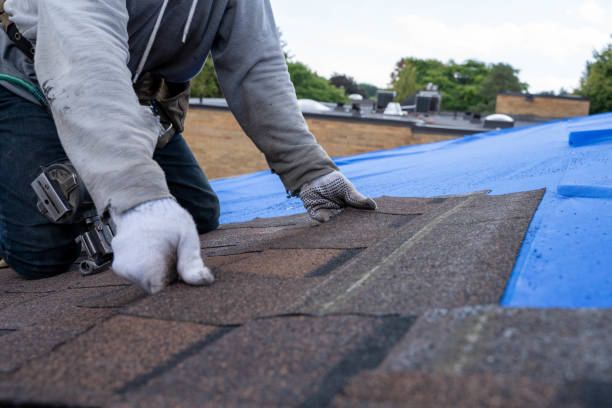 Roof Repair Estimates in Chester, VA