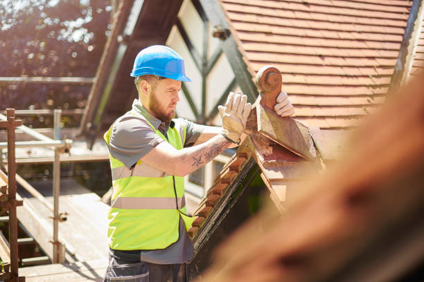 Roof Gutter Cleaning in Chester, VA